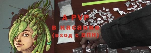 мяу мяу мука Новокубанск