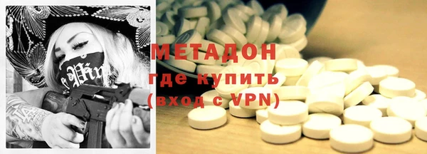 сатива Новодвинск