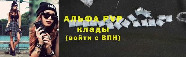 сатива Новодвинск