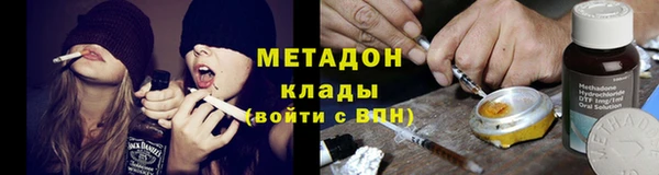 сатива Новодвинск