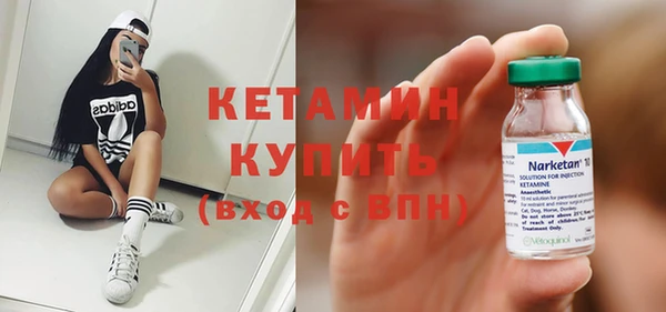 сатива Новодвинск