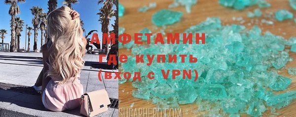 сатива Новодвинск