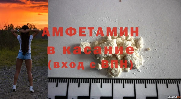 сатива Новодвинск