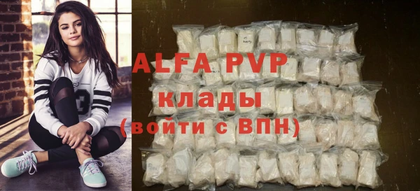 сатива Новодвинск