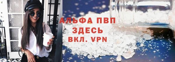 сатива Новодвинск