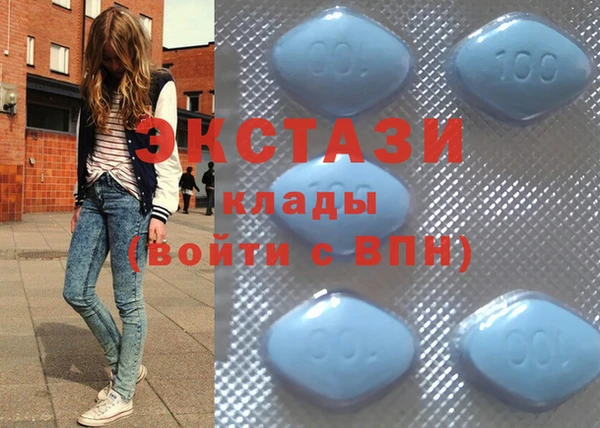 сатива Новодвинск