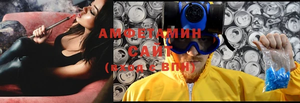 сатива Новодвинск