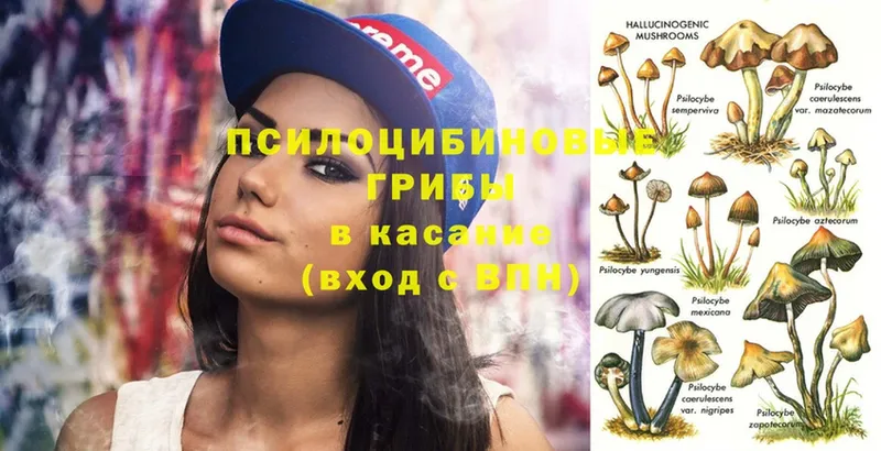 купить закладку  Кремёнки  Псилоцибиновые грибы MAGIC MUSHROOMS 